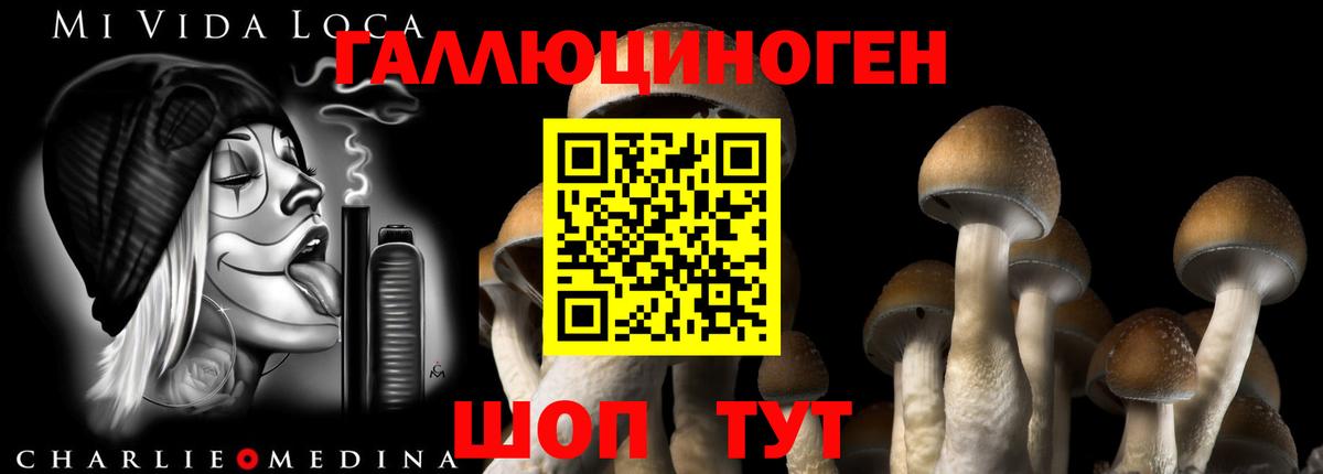 Галлюциногенные грибы Psilocybine cubensis Тосно